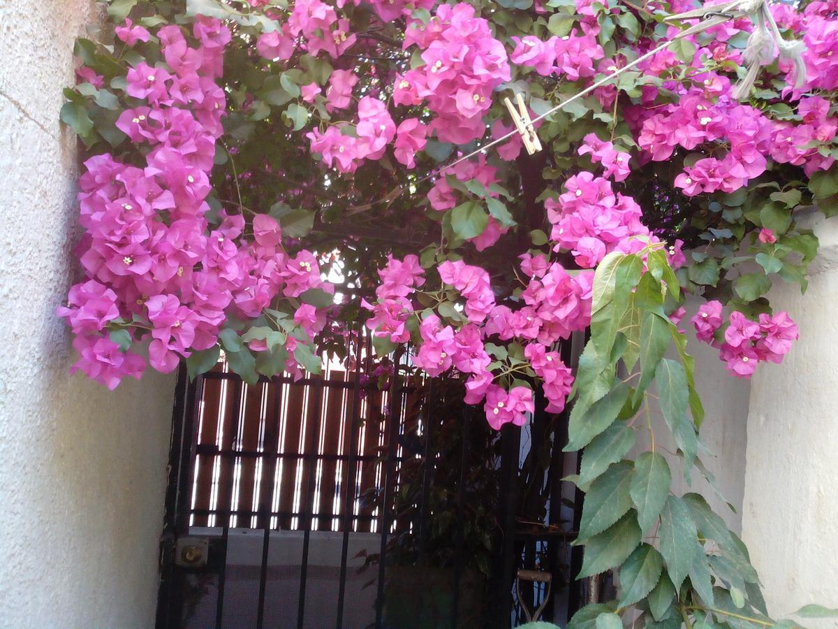 Alojamiento Alberto Magno Bed & Breakfast - Santiago